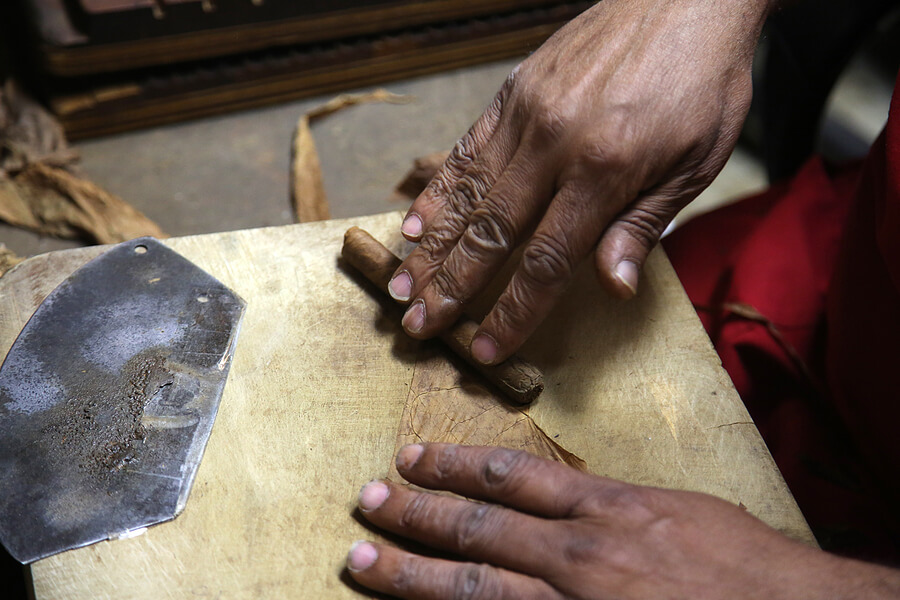 A hand rolled cigar nears completion