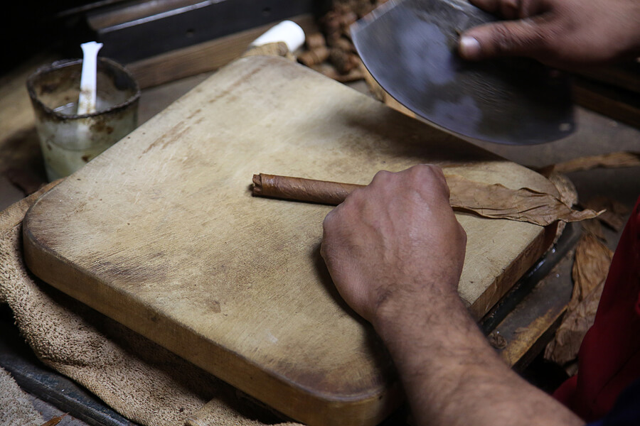 A cigar being hand-rolled with filler tobacco inside it.
