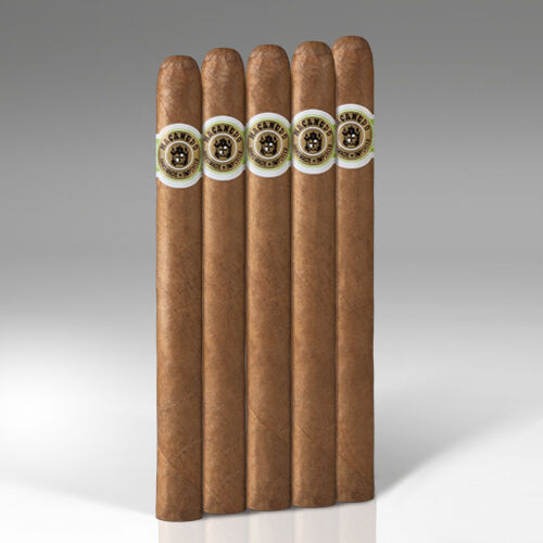 Rothschild, , jrcigars