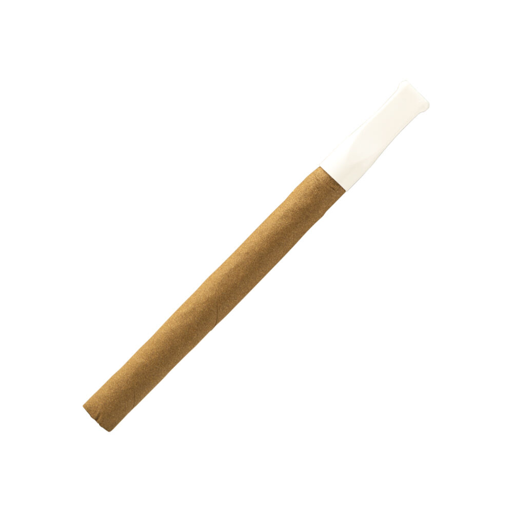 View product media SWTP Tip Cigarillo, , jrcigars 3