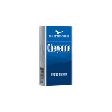 cigarette lighter and case 100s Cigarette Case with USB Coil Lighter cigarette lighter and case 100s Cigarette Case with USB Coil Lighter
